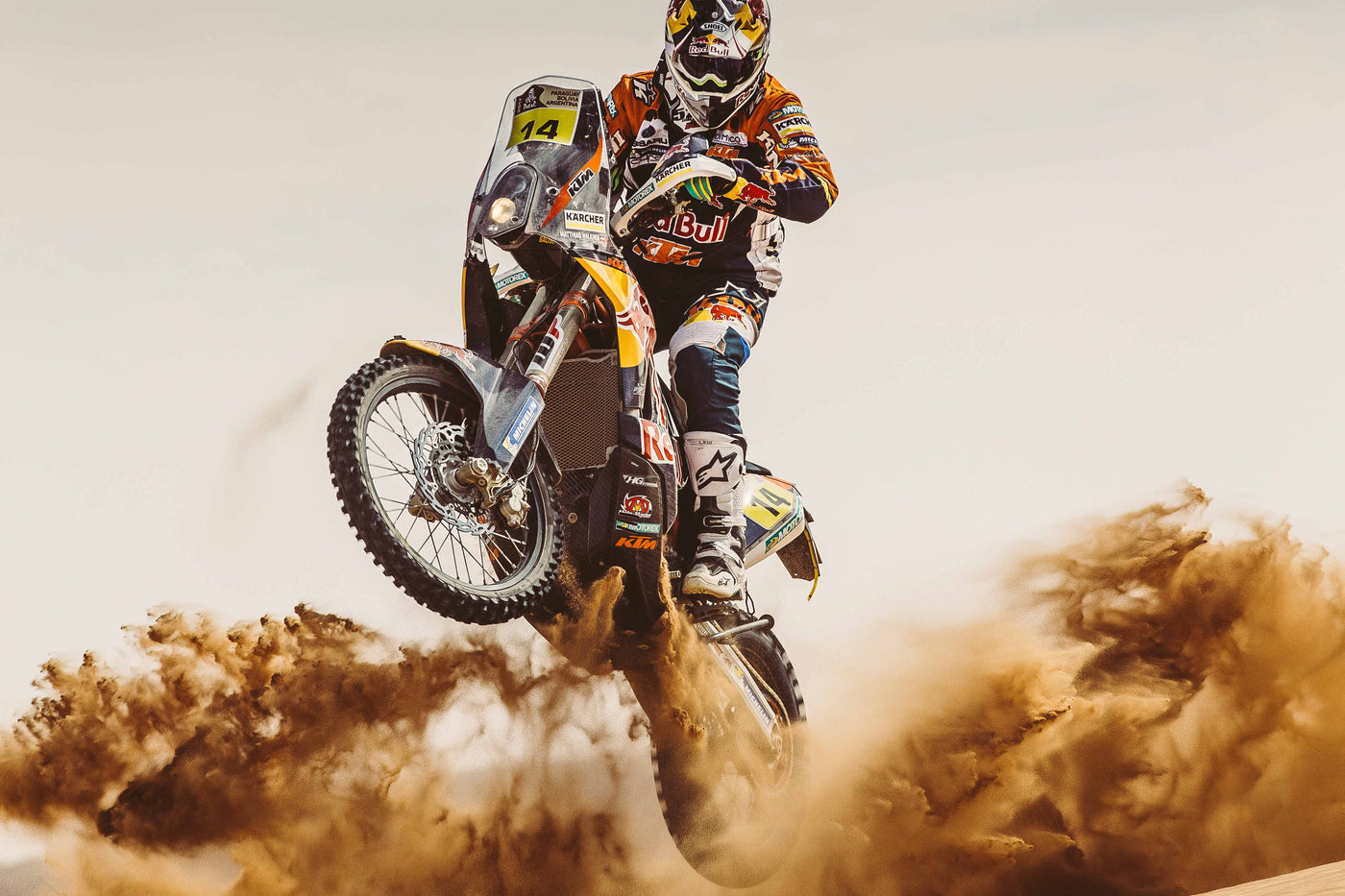 IN THE FRENZY OF THE DESERT