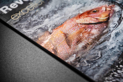 THE POWER OF PRINT