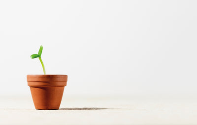 ON A GROWTH TRAJECTORY