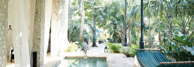 WELCOME TO PARADISE
