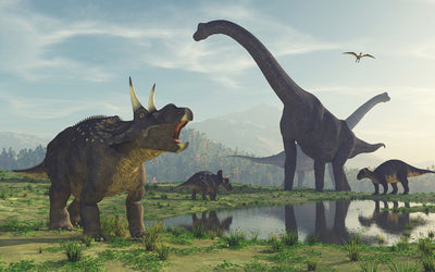 THE DINOSAURS ARE STILL AMONG US