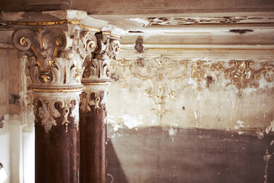 THE VISAGE OF MEDUSA