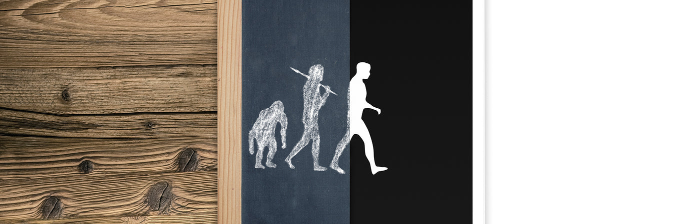 MODERNE EVOLUTION