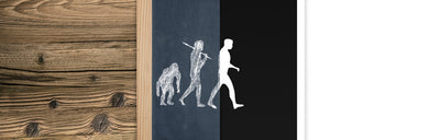 MODERNE EVOLUTION