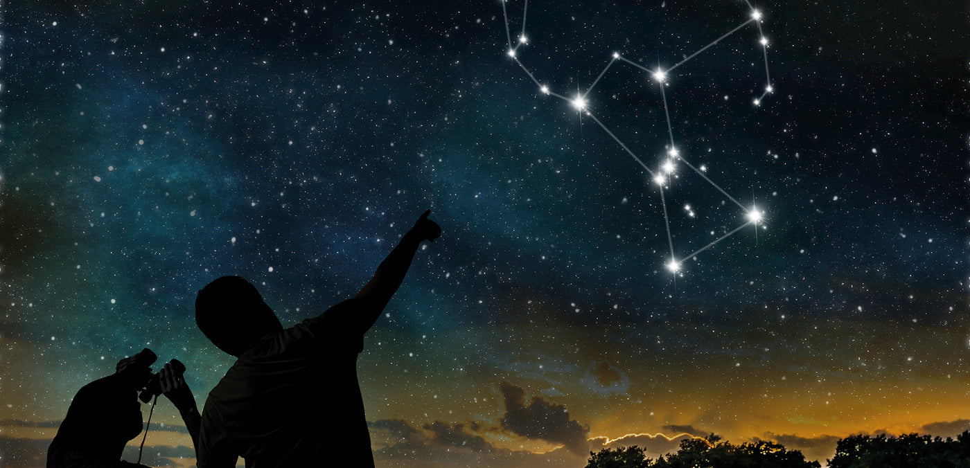 LOOK INTO THE STARS OF TOMORROW