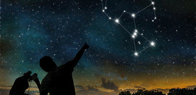 LOOK INTO THE STARS OF TOMORROW